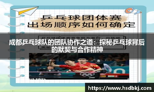成都乒乓球队的团队协作之道：探秘乒乓球背后的默契与合作精神